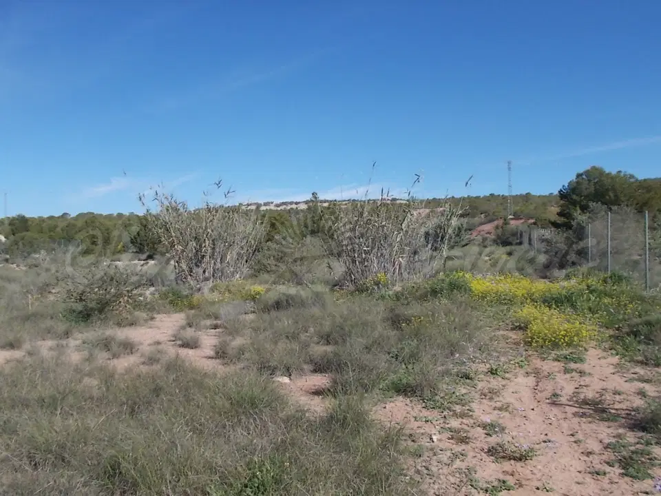 Finca in Yecla, Murcia province photo 5