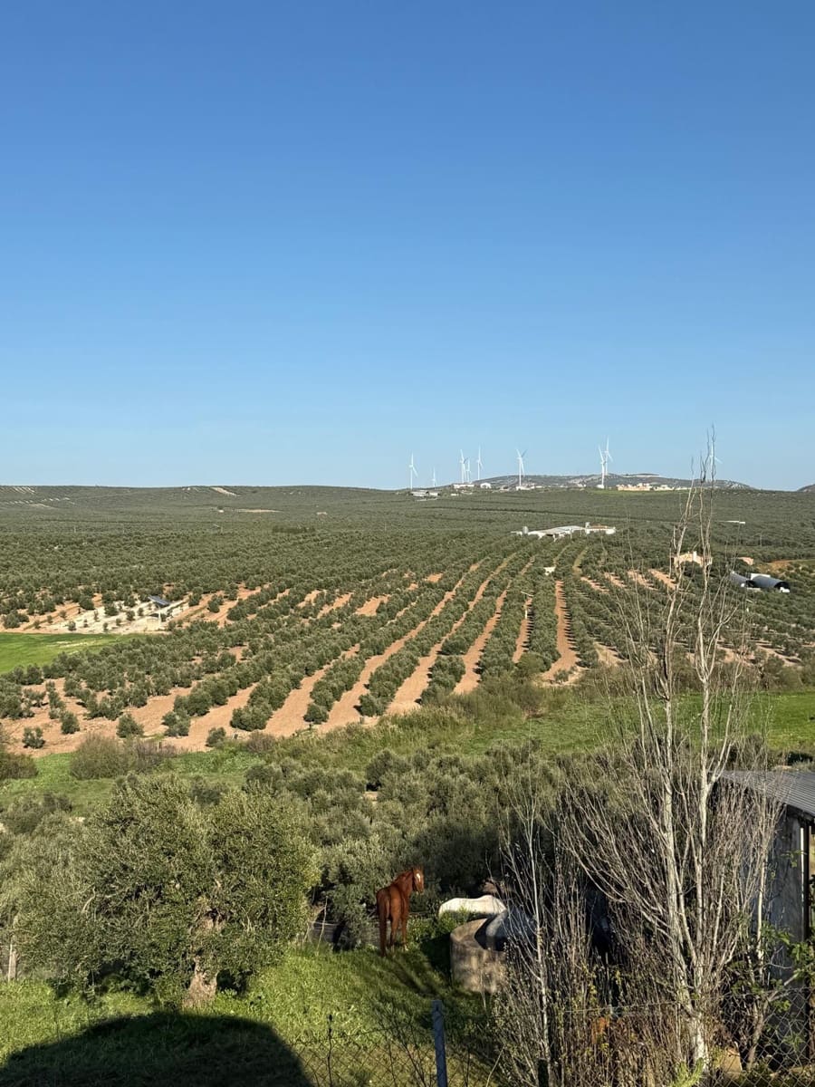 Mobile Home for sale in Los Corrales, Seville photo 3