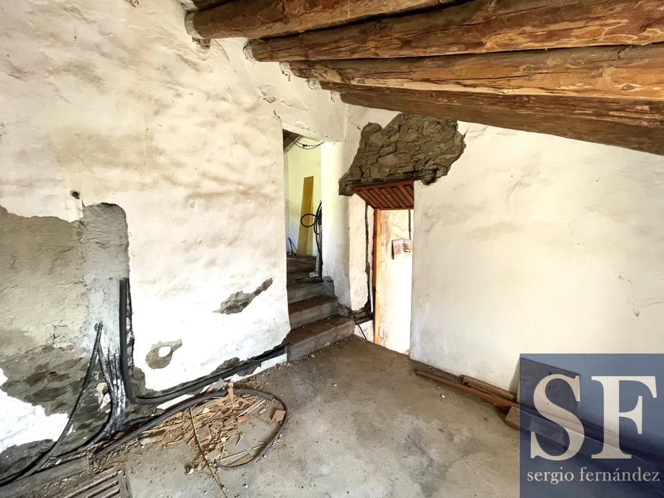 SF Properties photo 5