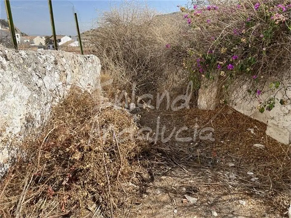 Inland Andalucia photo 2