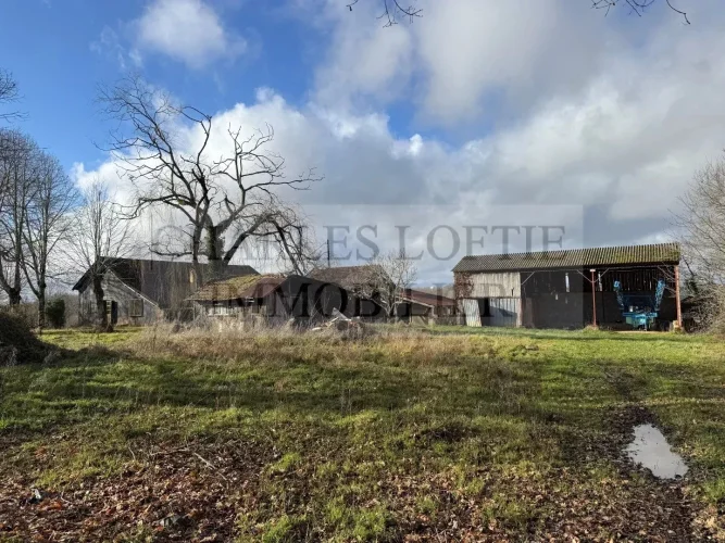 Former Farmhouse on 6 ha of Land photo 4