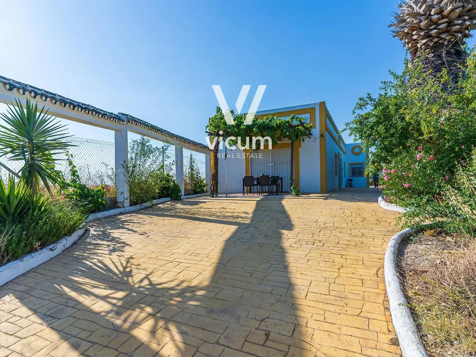 Villa in La Palma Del Condado, Huelva province photo 2