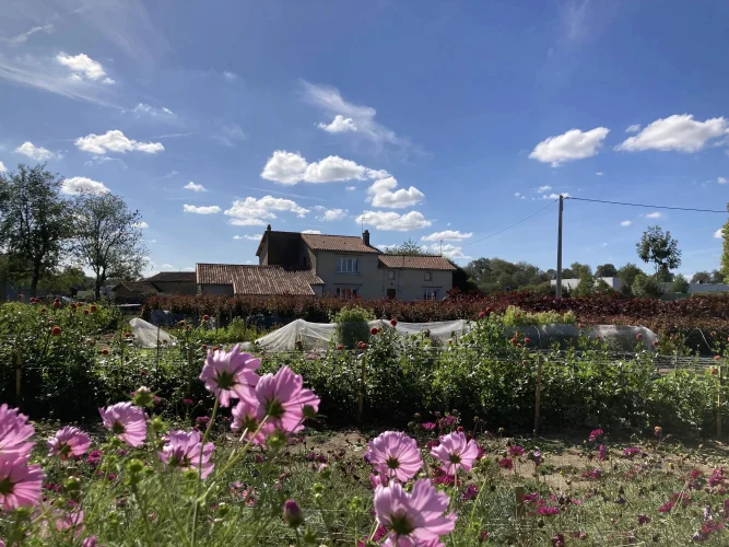 Stone Farm with 4 Hectares