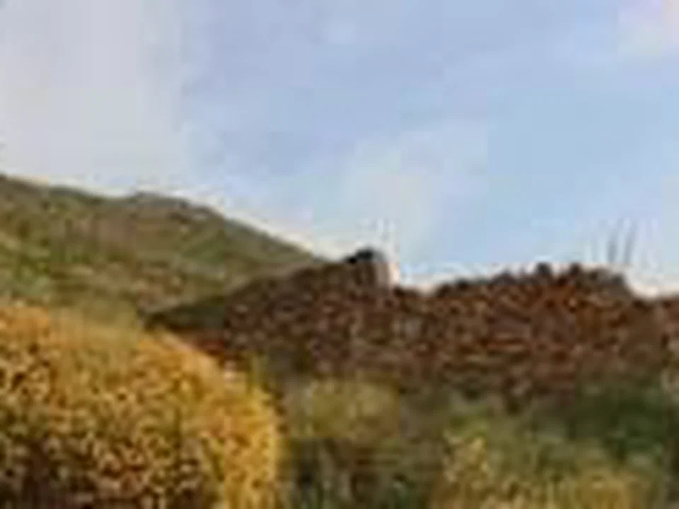Blue Med Invest photo 2