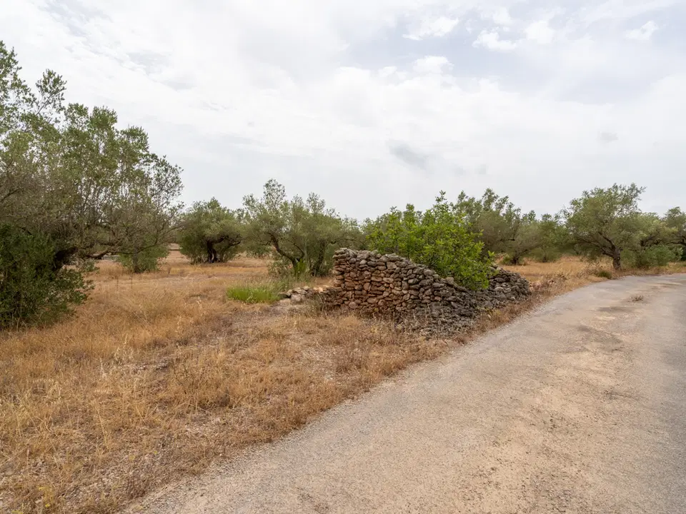 MAS CATALAN RURAL PROPERTIES S.L.U. photo 3