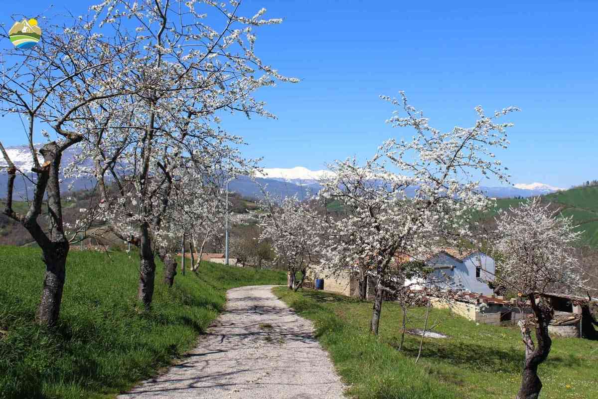 3 bedrooms country house, 108 m² Castelli, Teramo (province) photo 5