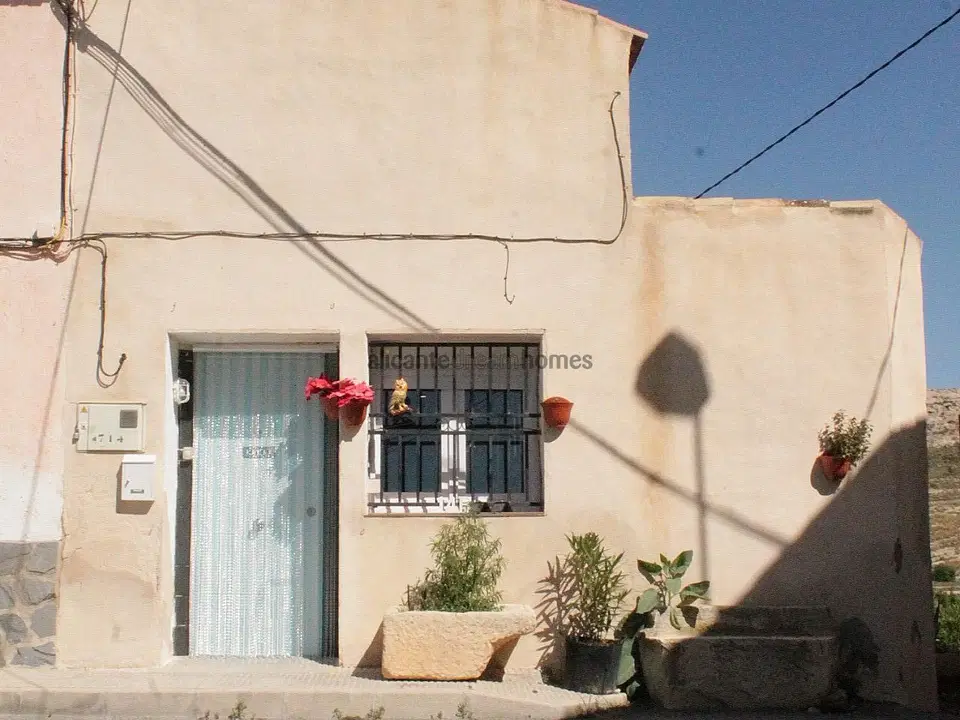 Alicante Dream Property  photo 3