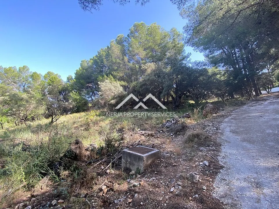 Nerja Property Services photo 4