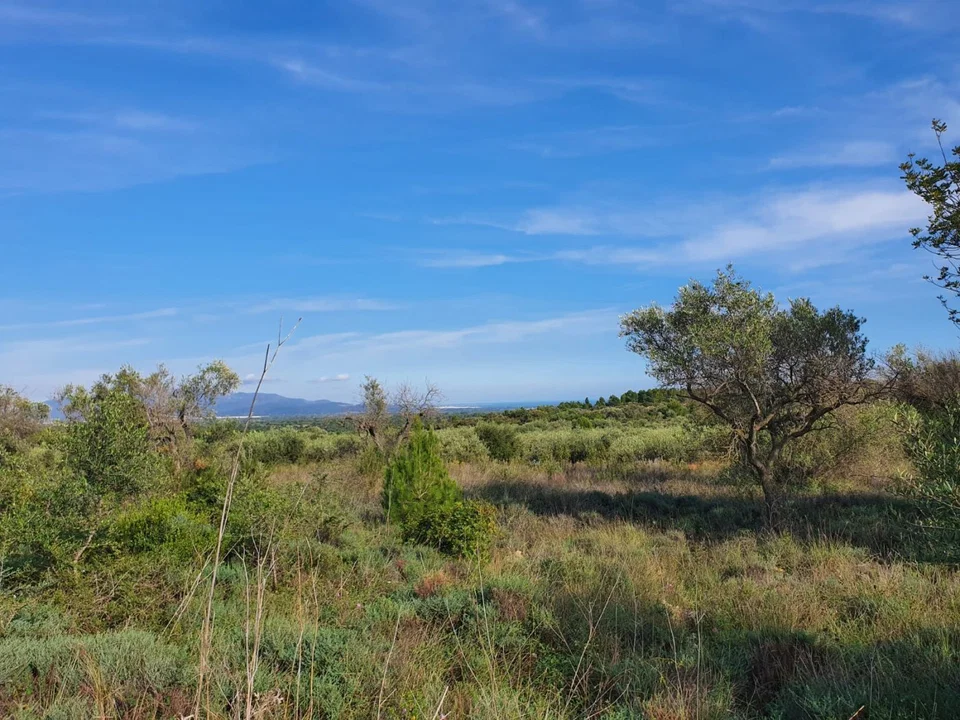 Country house in Sant Jordi, Castellon