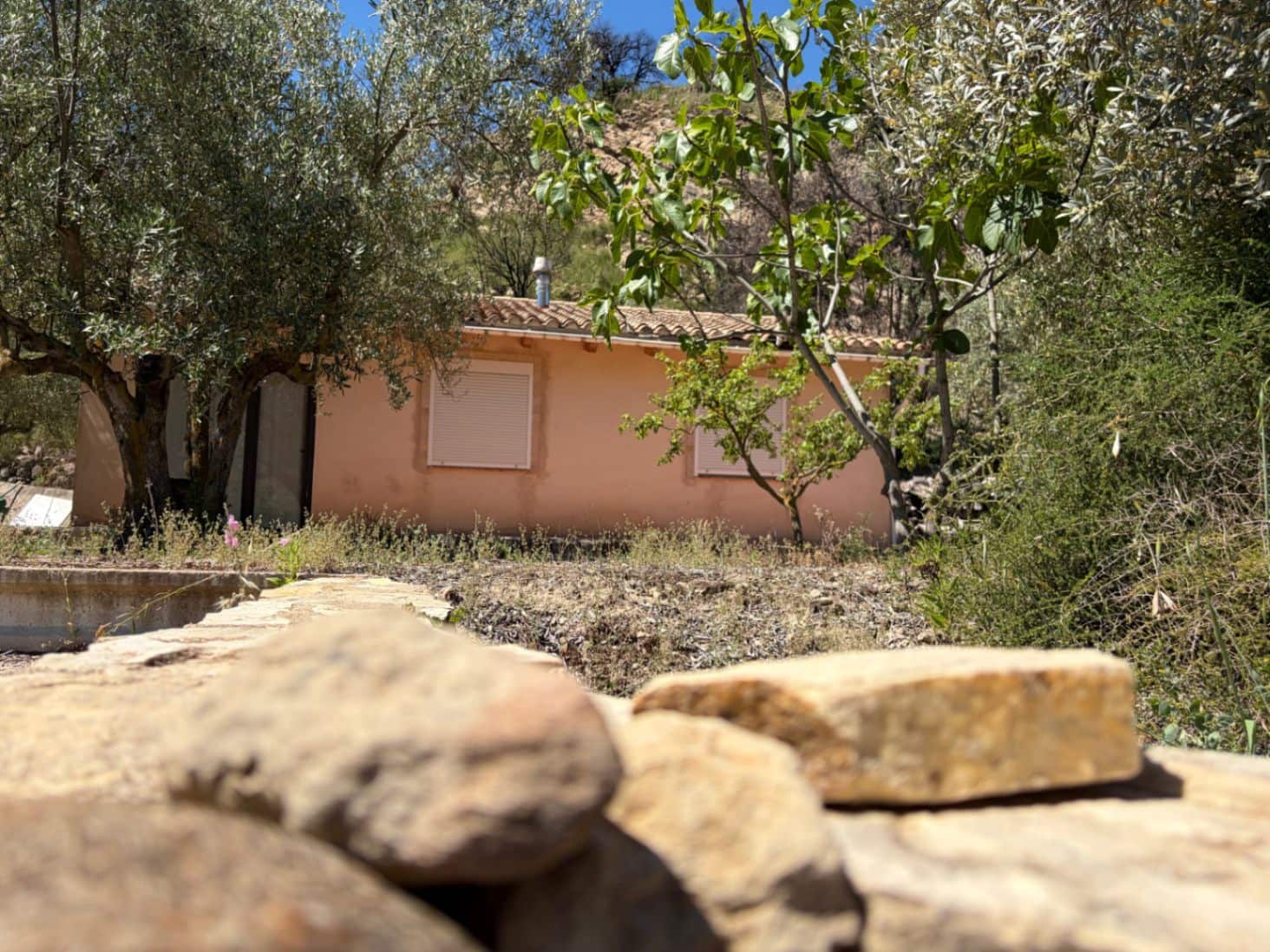 Finca/Country House for sale in Alcoleja, Alicante