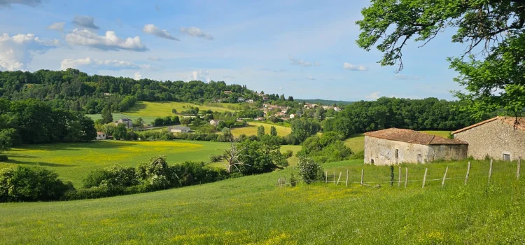 Peaceful Single Storey Home in a Charming Village with Lovely Views & Basement photo 4