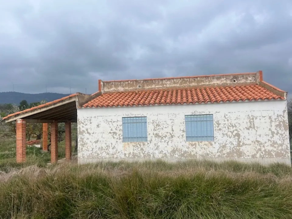 IMMO Abroad Real Estate photo 5