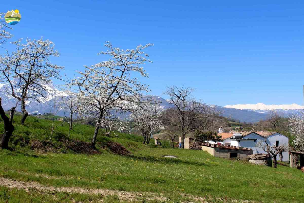 3 bedrooms country house, 108 m² Castelli, Teramo (province) photo 4