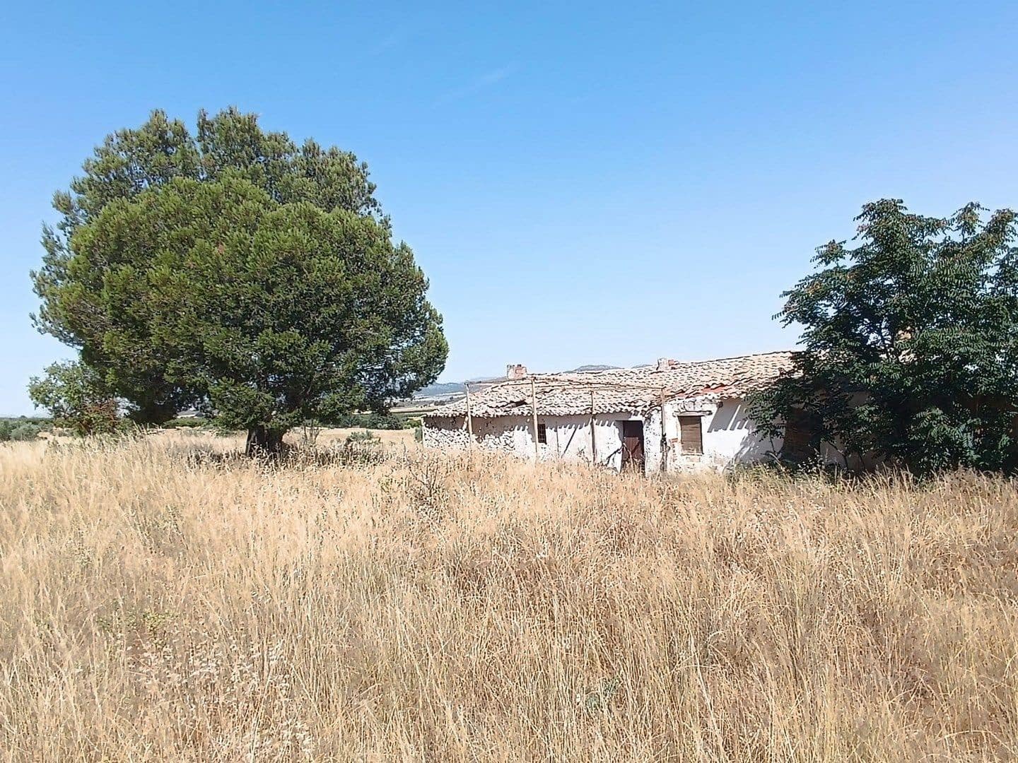 Finca/Country House for sale in Yecla, Murcia photo 4
