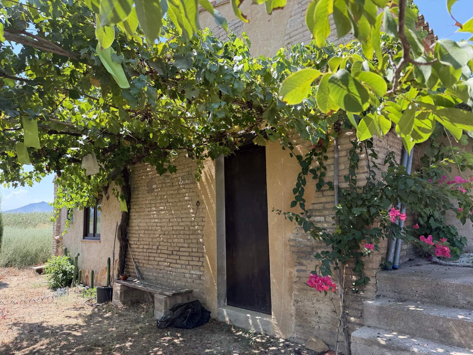 Finca/Country House for sale in Ginestar, Tarragona photo 5