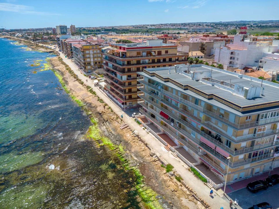 Apartment in Torrevieja, Alicante province