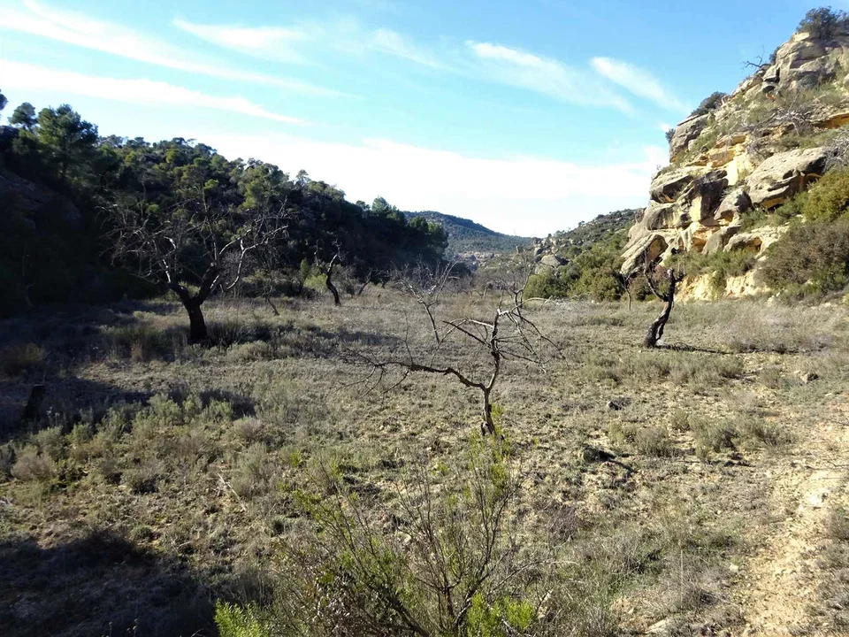 Finca in Maella, Zaragoza province photo 2