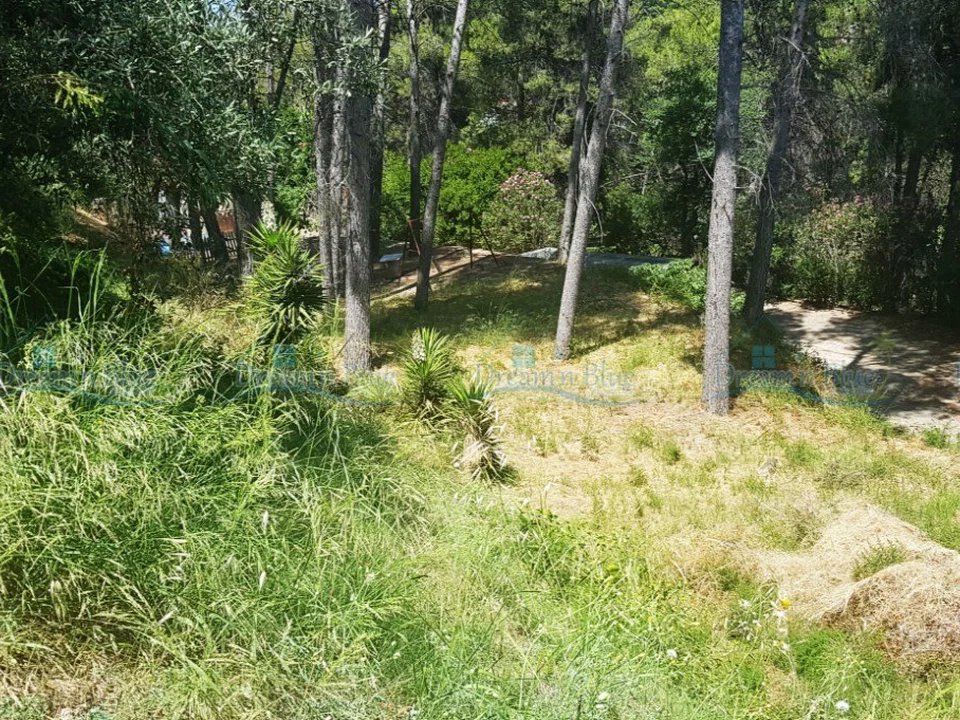 Dream'n Blue Properties photo 5
