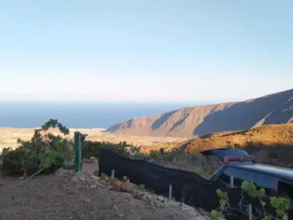 PRIME CASAS - Real Estate by Daniela photo 4