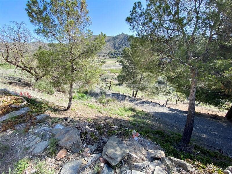 Finca/Country House for sale in Taberno, Almería photo 2