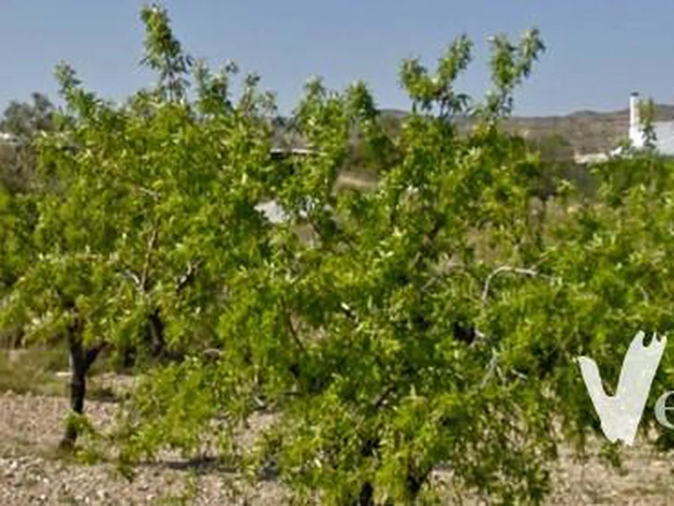 Country house in Taberno, Almeria province photo 2