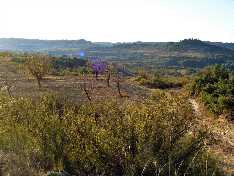 Finca in Maella, Zaragoza province photo 2