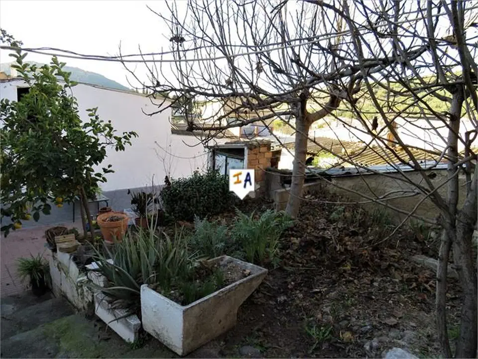 Inland Andalucia photo 3