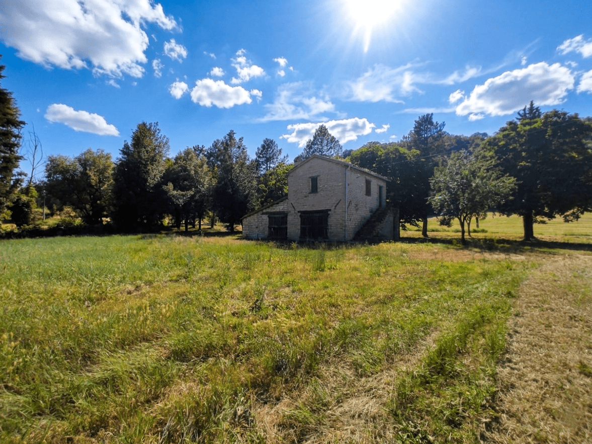 Property in Fossombrone photo 5