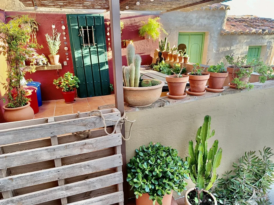 Village house in Alcaucin, Malaga photo 2