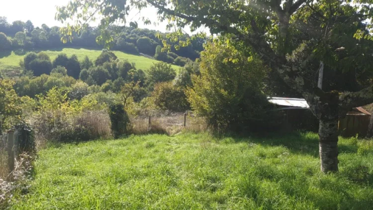 2 Bed House for Sale in Pierre-Buffière photo 2