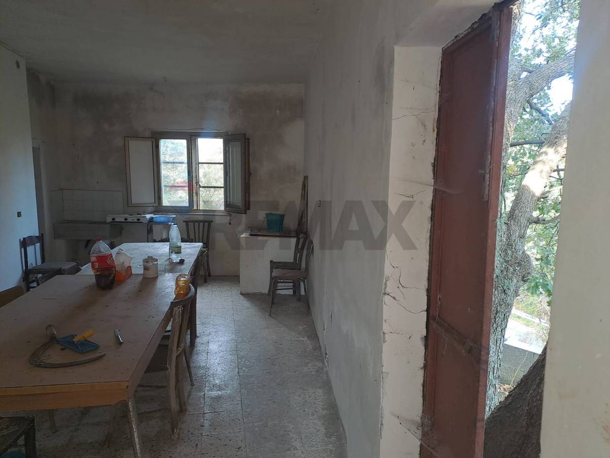Property in Linguaglossa photo 5
