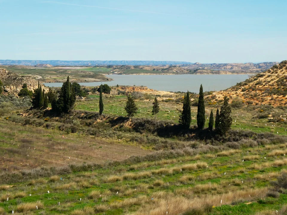 Finca in Caspe, Zaragoza province photo 2