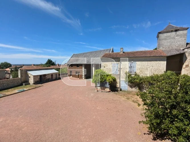 Charming Stone Property in Curçay-Sur-Dive