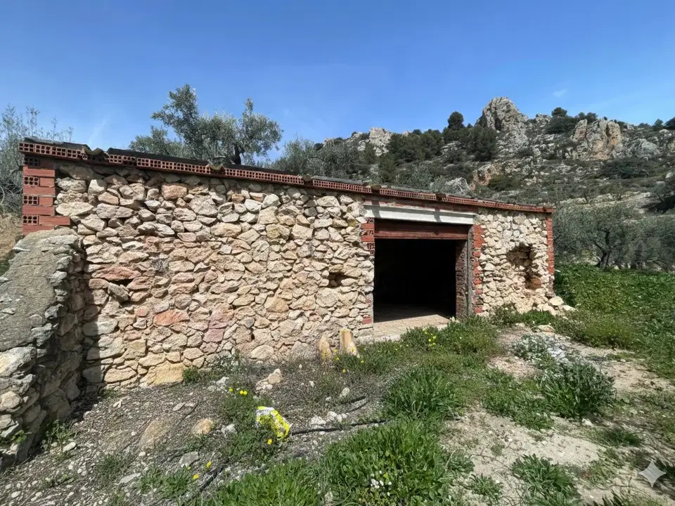 Ideal Costa Blanca photo 2