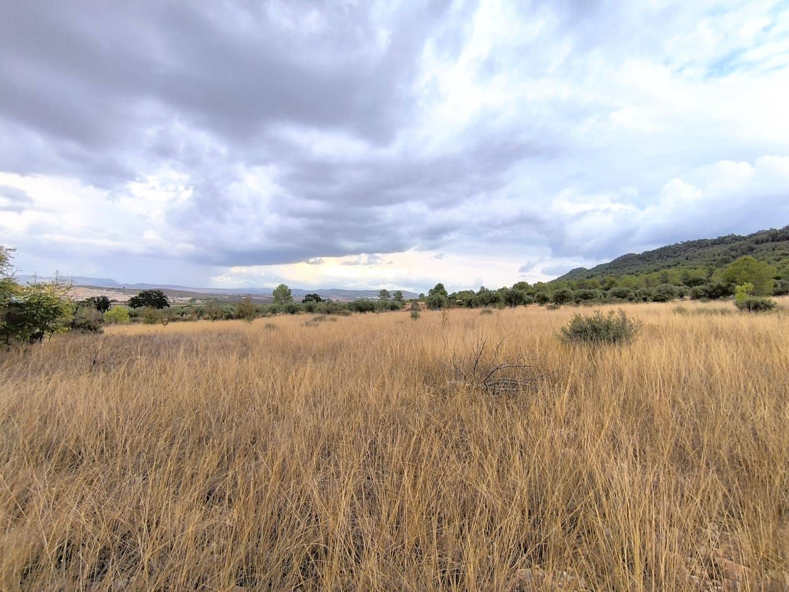 Finca/Country House for sale in Yecla, Murcia photo 5