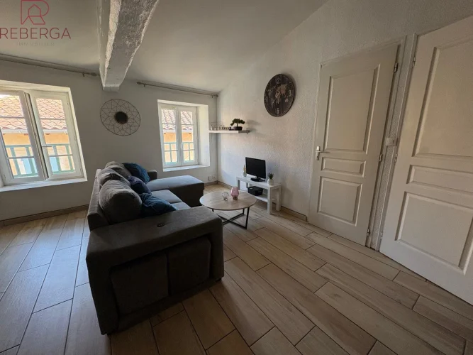 Labruguiere Apartment photo 3