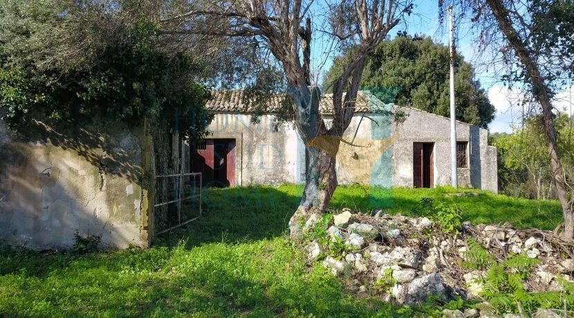 Property in Noto photo 2