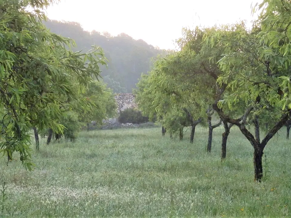 Finca in Miravet, Tarragona province photo 4
