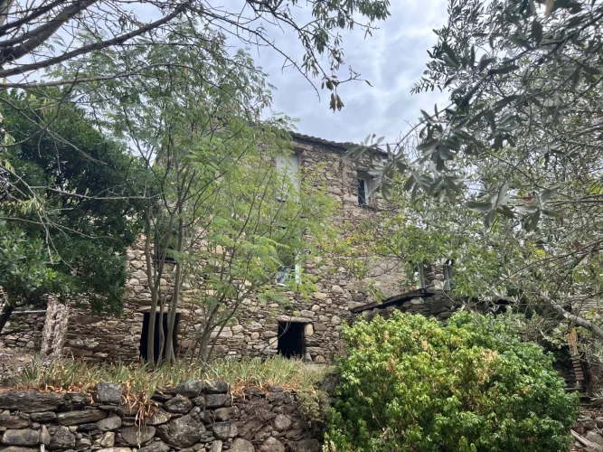 Village House with Land