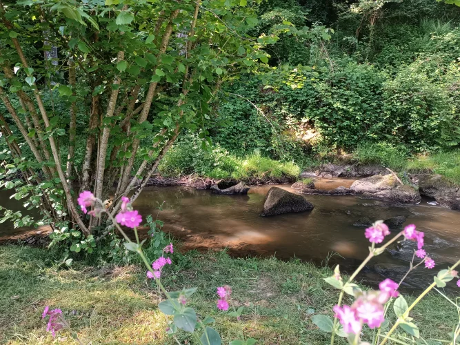 A Rare Property Situated on the Riverbank in a Preserved Green Natural Setting. photo 3