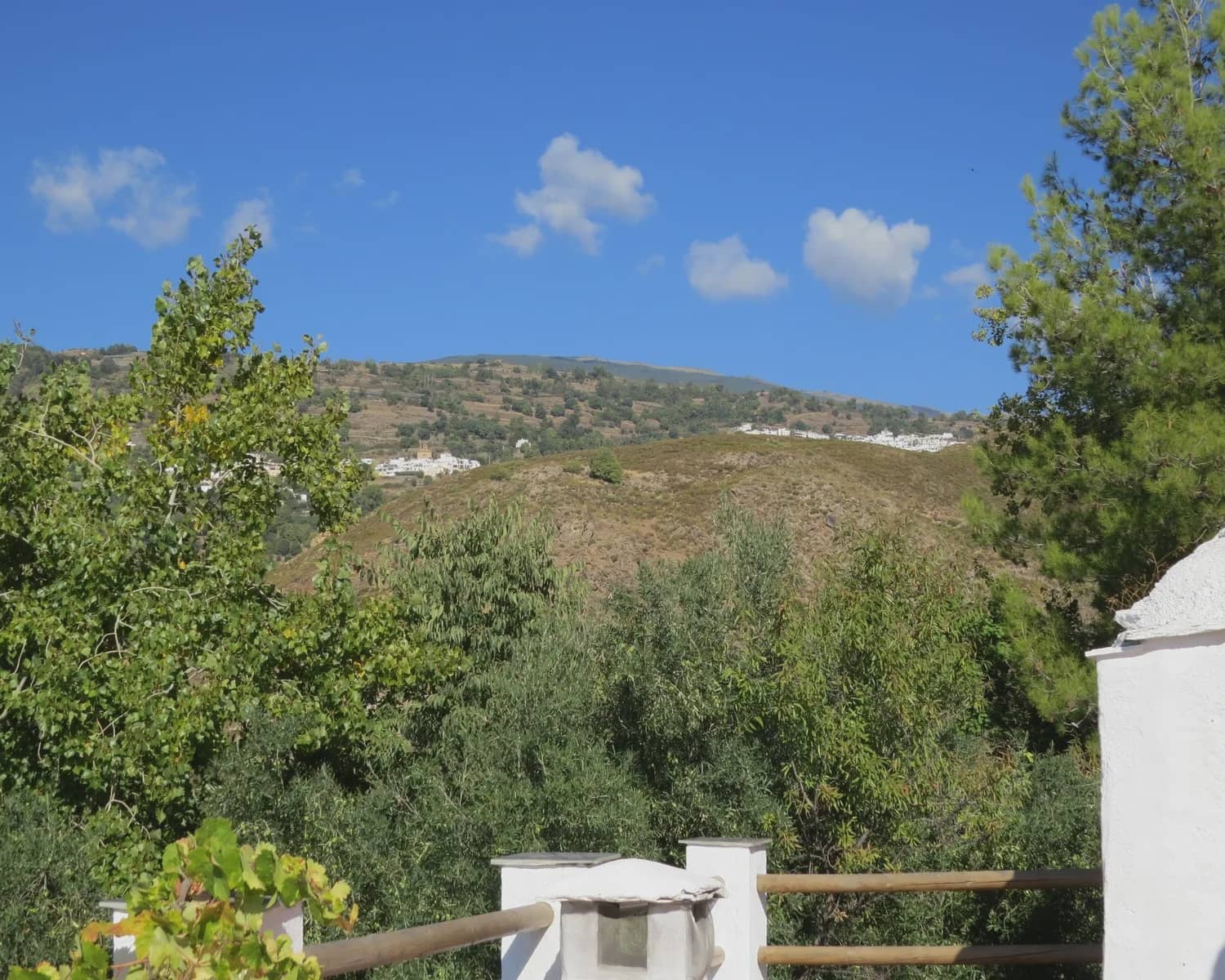 Finca/Country House for sale in Narila, Cádiar, Granada photo 4