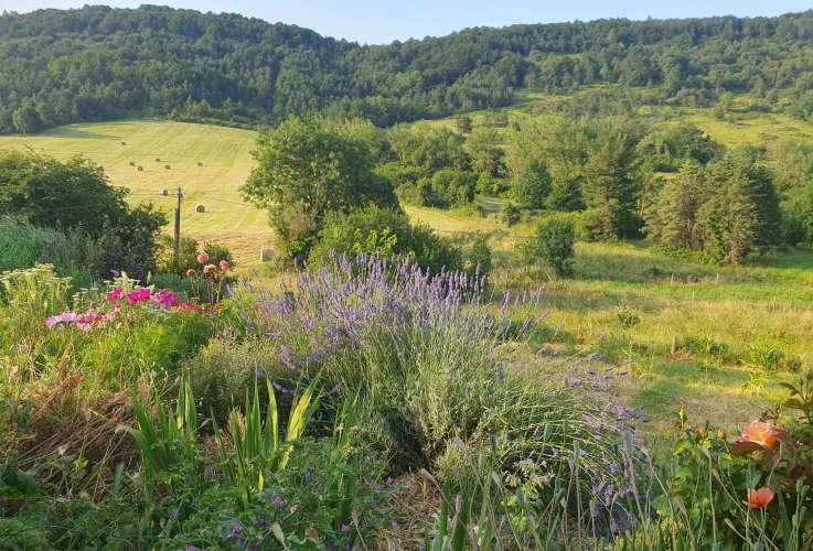 Village House with Barn and Ecological Garden photo 3
