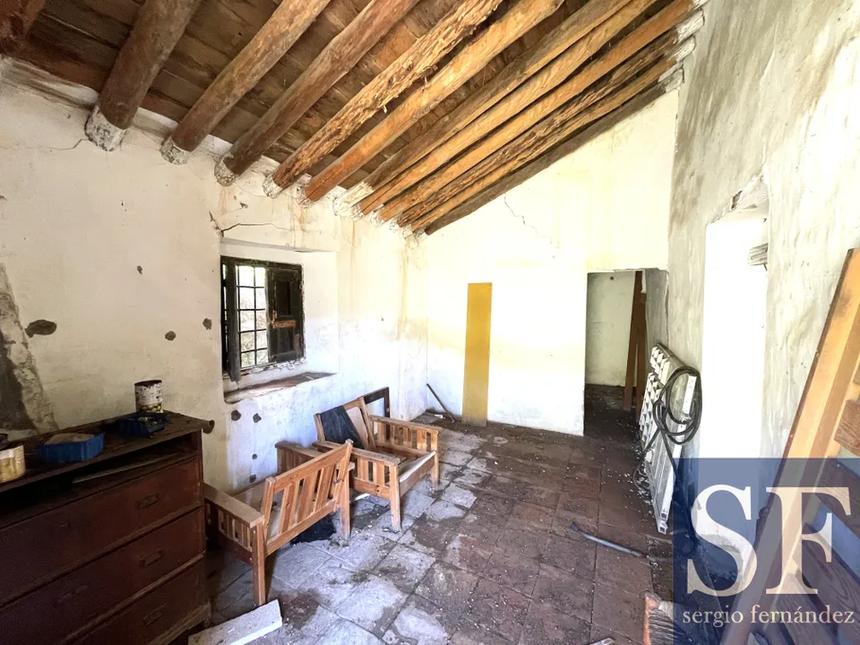 SF Properties photo 3