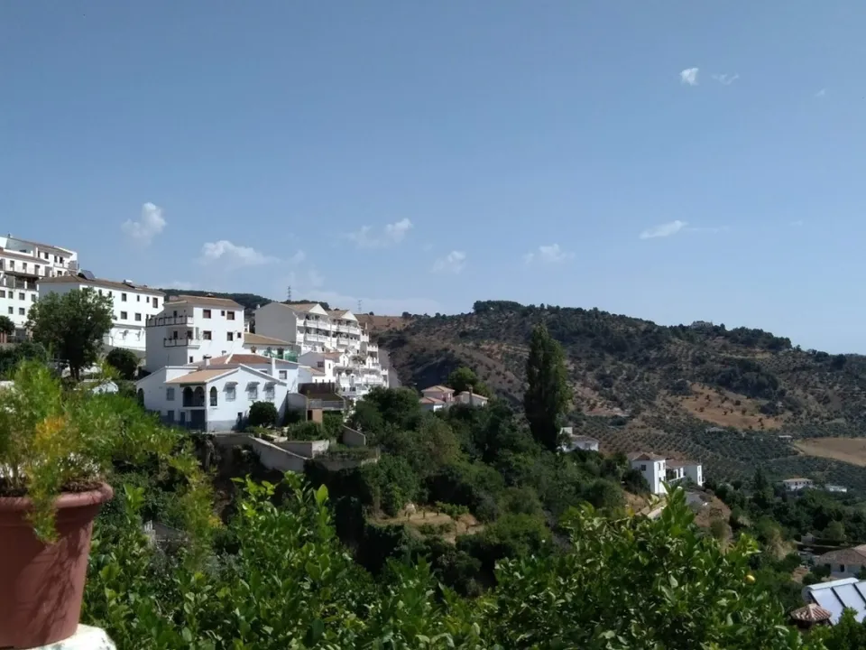 IMMO Abroad Real Estate photo 4