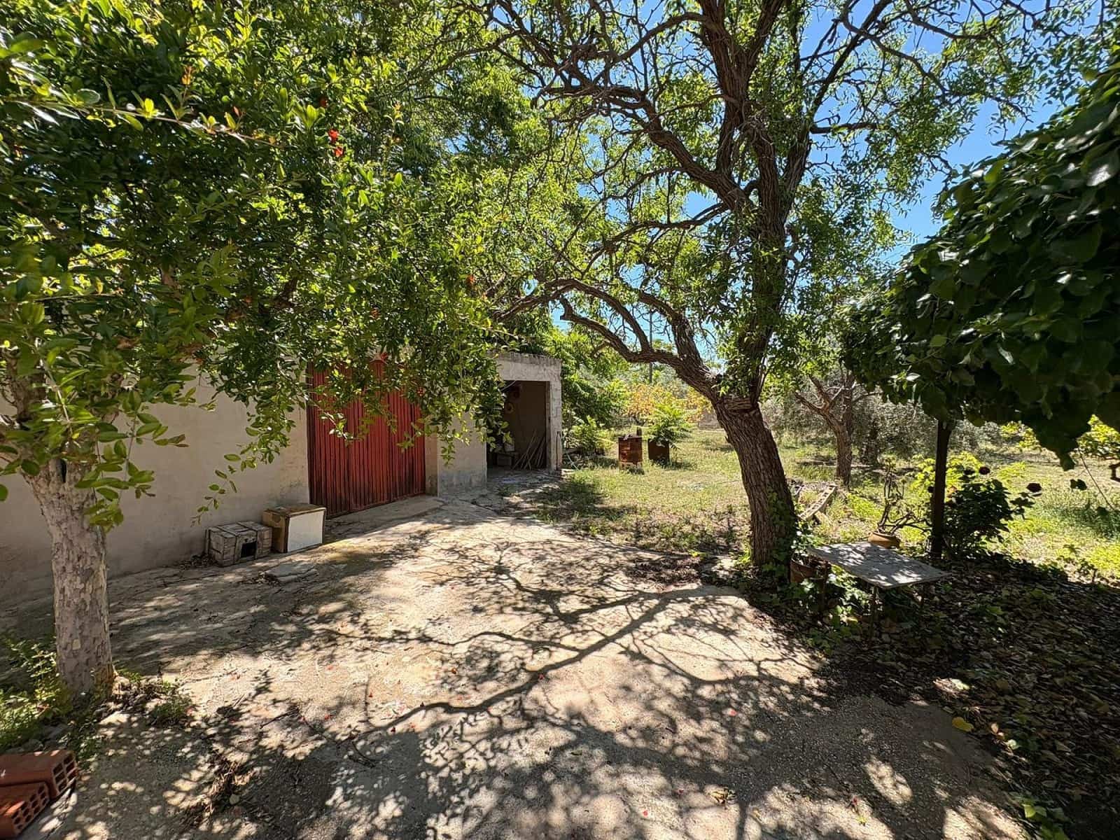 Finca/Country House for sale in La Romana, Alicante photo 4