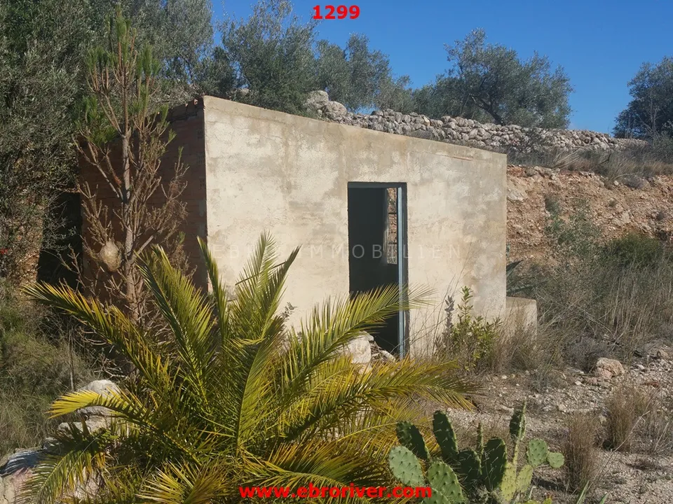 Ebro Real Estate Tortosa  photo 2