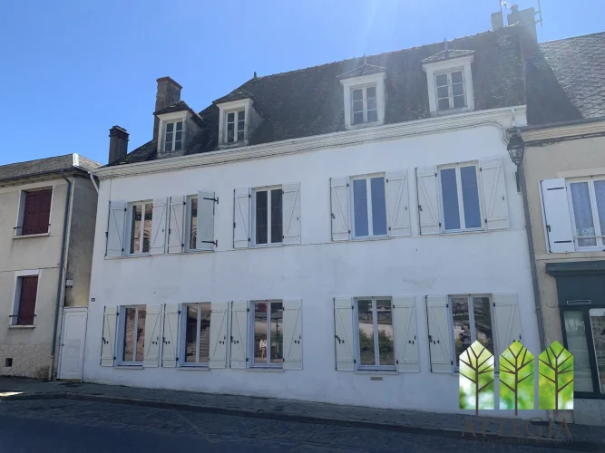 Character Townhouse Property to Renovate with Gîte Potential
