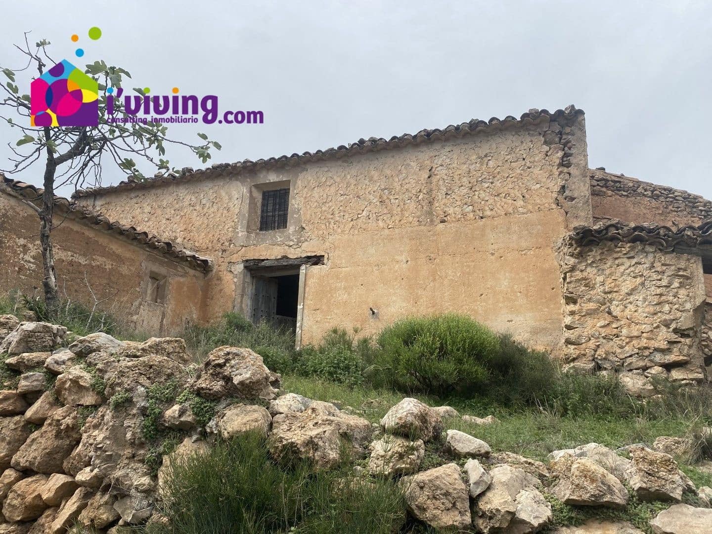 Finca/Country House for sale in Albox, Almería photo 2