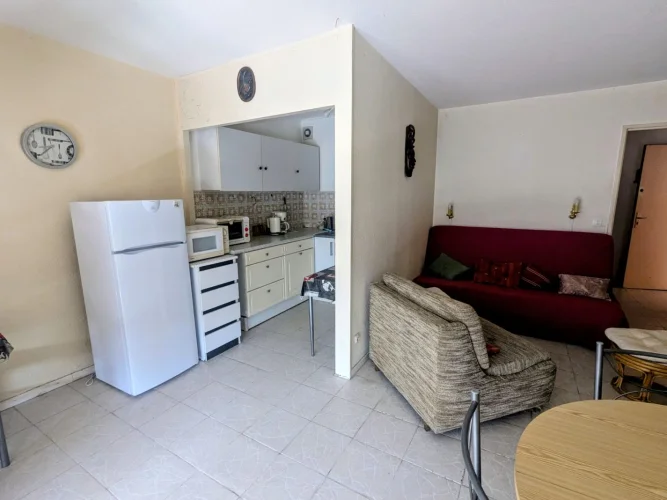 1 Room Studio Loggia photo 5