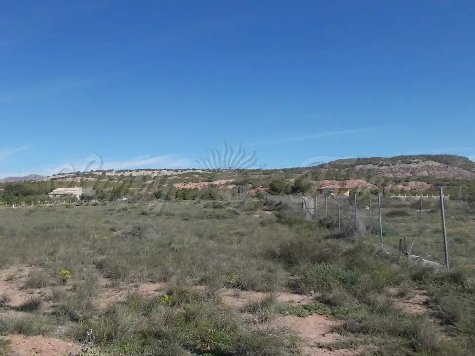 Finca in Yecla, Murcia province photo 4